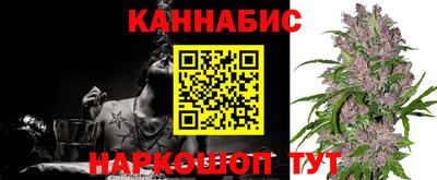 молекула духа Ярославль