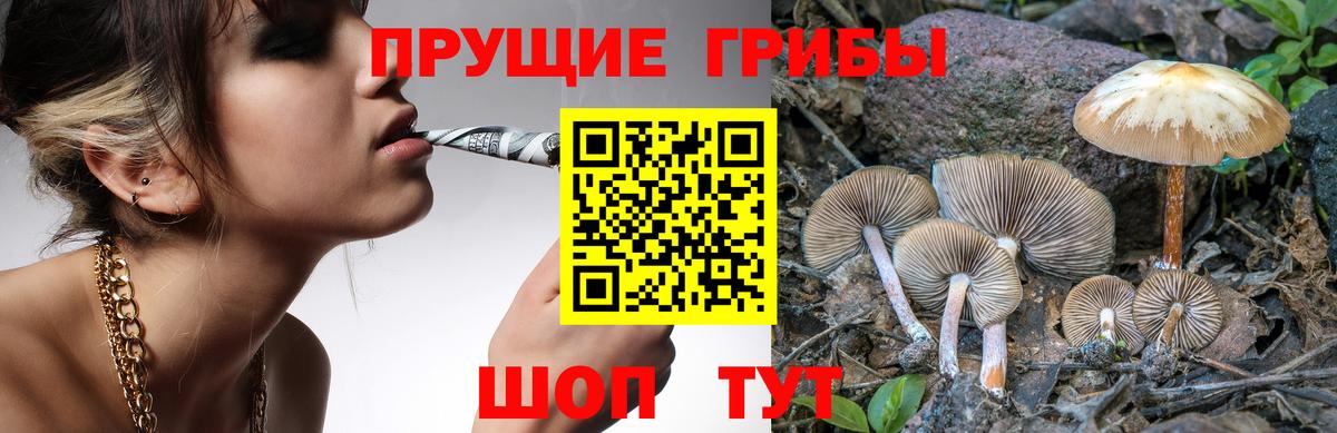 А ПВП Мичуринск