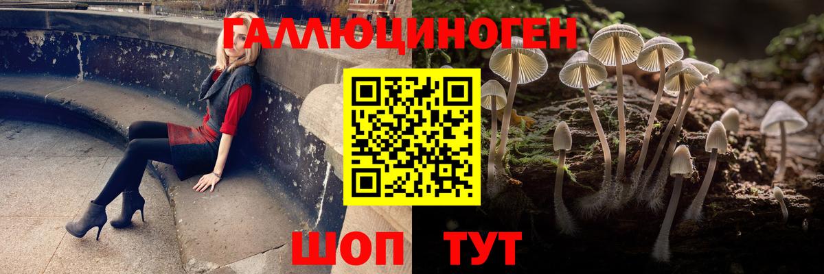 Галлюциногенные грибы Psilocybe  купить закладку  Мичуринск  Вход с VPN 